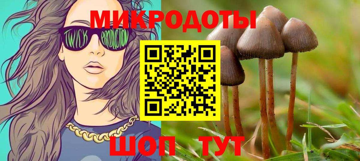Псилоцибиновые грибы Psilocybe  наркота  Ступино  Вход с VPN 